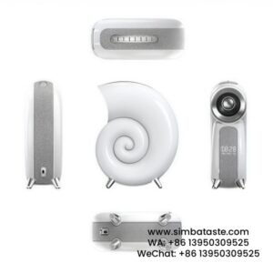 White Snails Design Bluetooth Audio Single Box