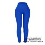 Women Royal Blue Thread Sports Leggings Seamless Yoga Pants Yoga Wear Leggings